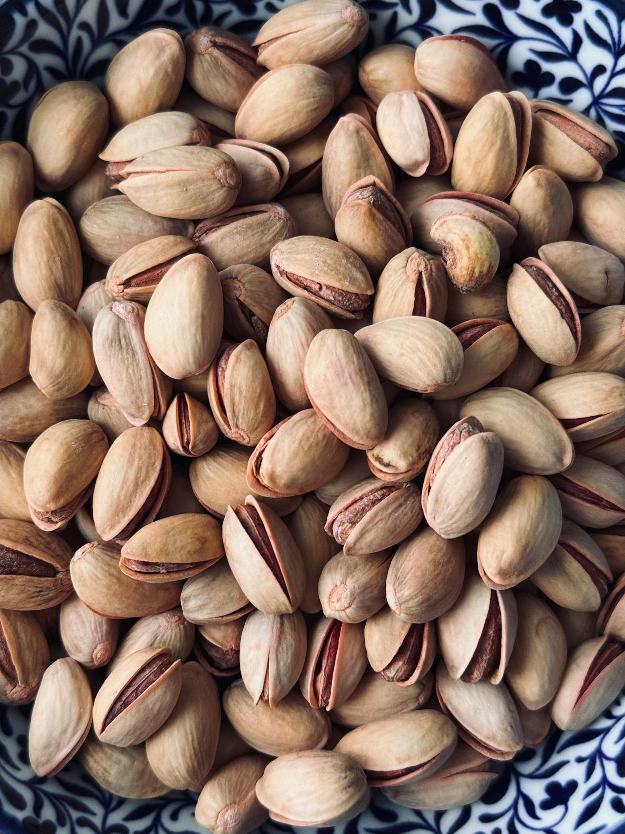 Pistachio roasting machine application for snack manufacturers in Gujarat and Maharashtra